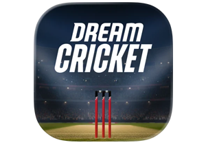 Dream Cricket 2025 梦幻板球安卓版下载